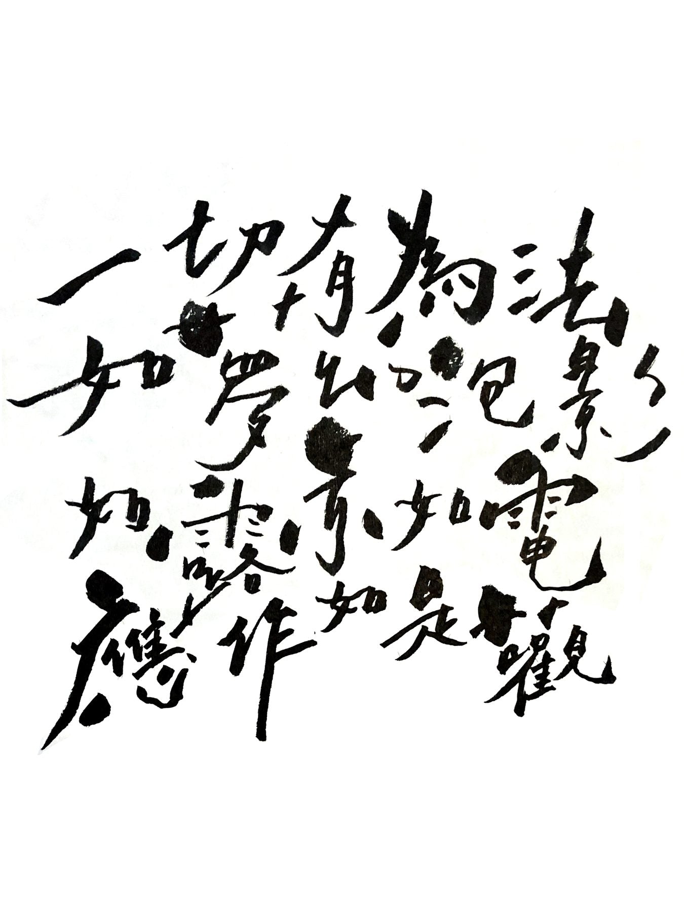 金剛經摘抄 — an excerpt of the Diamond Sutra written in dense columns of grass script.