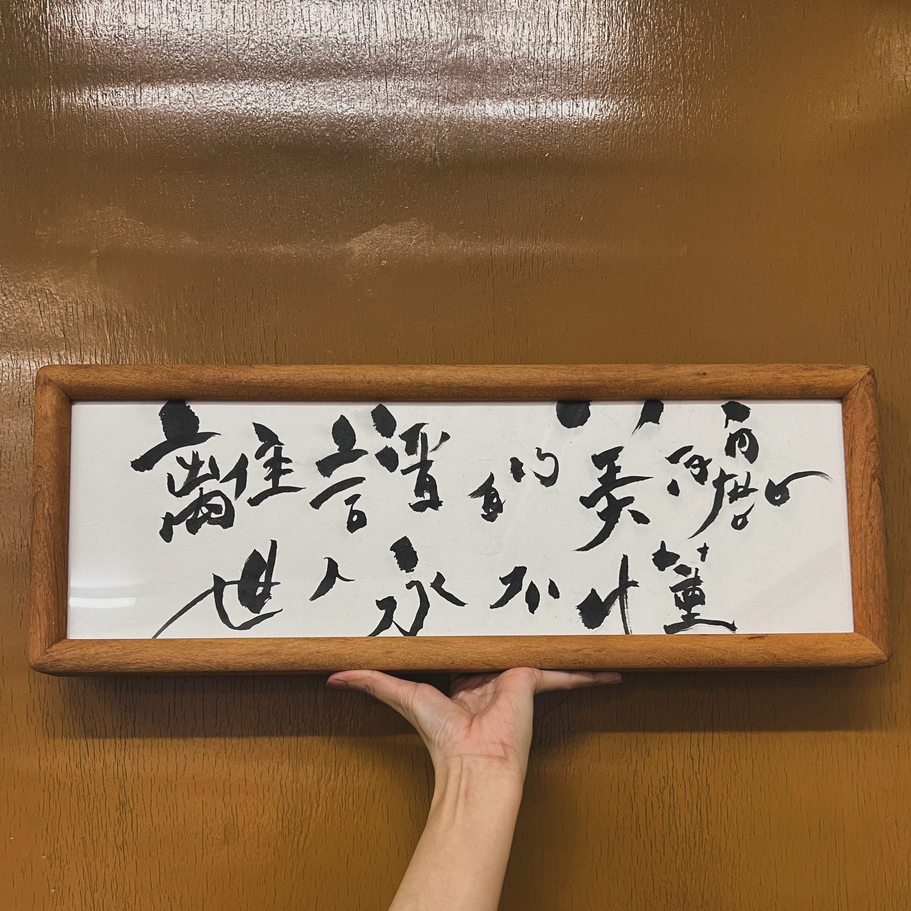 離譜的美麗世人永不懂 — a long horizontal frame of flowing grass script, held up by a single hand.